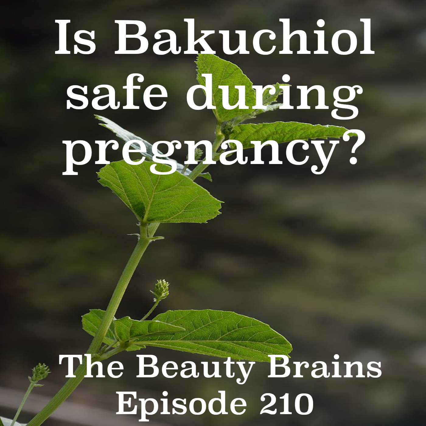 Is bakuchiol safe during pregnancy? episode 210